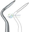 Apical 302